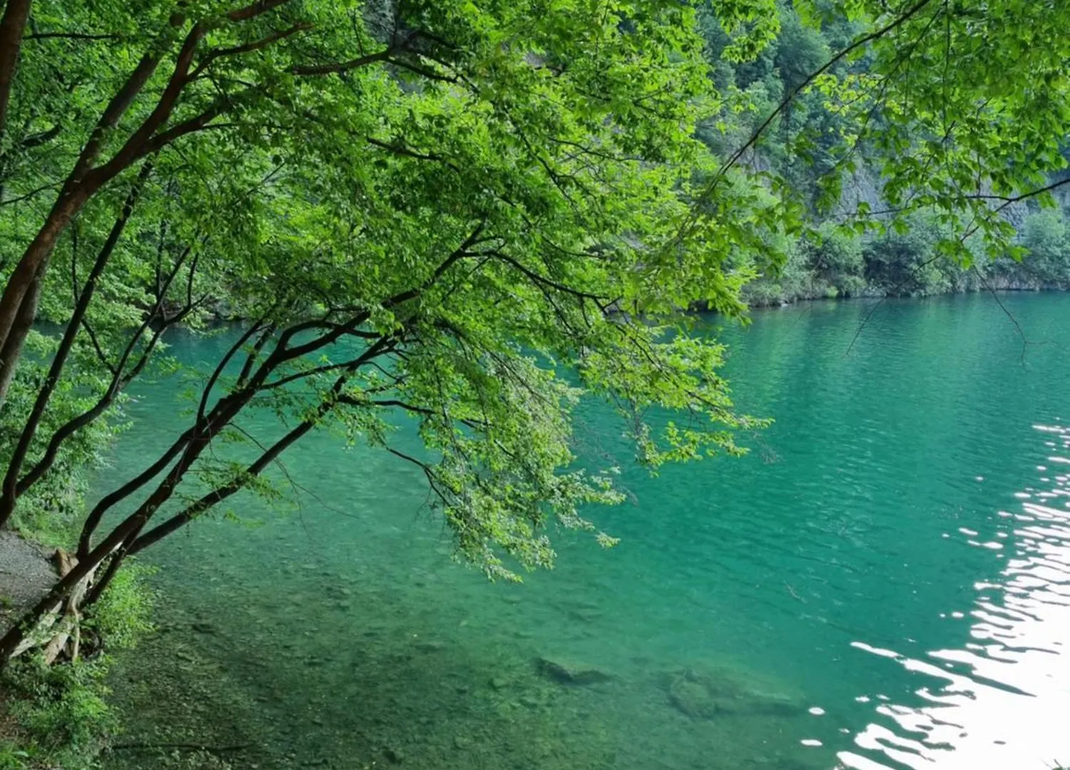 Iseo Lake Casa Acqua Riva di Solto Σπίτι διακοπών